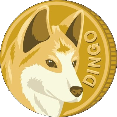 DINGO